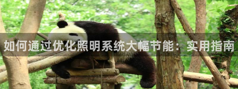 如何通过优化照明系统大幅节能：实用指南