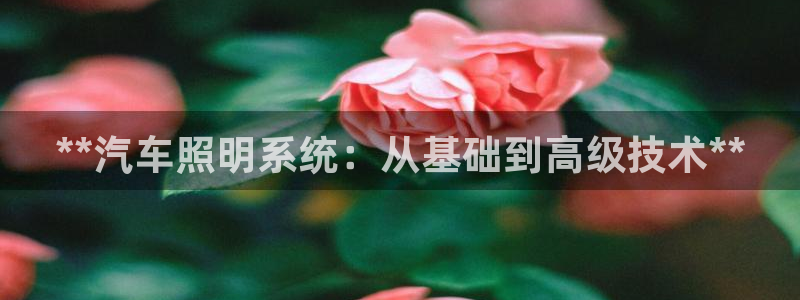 **汽车照明系统：从基础到高级技术**