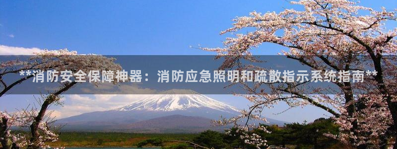 **消防安全保障神器：消防应急照明和疏散指示系统指南**