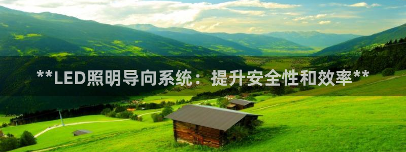 **LED照明导向系统：提升安全性和效率**