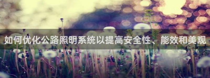 如何优化公路照明系统以提高安全性、能效和美观