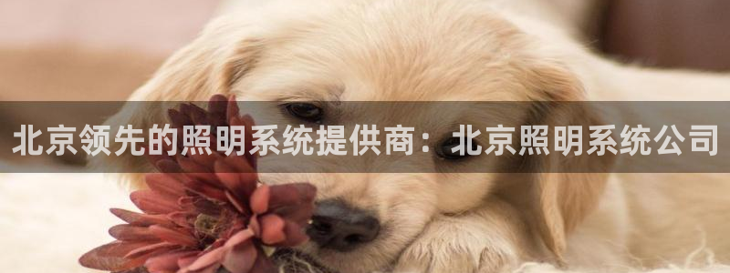 北京领先的照明系统提供商：北京照明系统公司