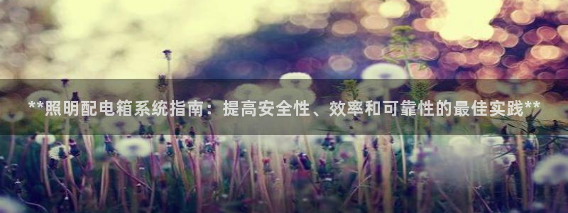 **照明配电箱系统指南：提高安全性、效率和可靠性的最佳实践**