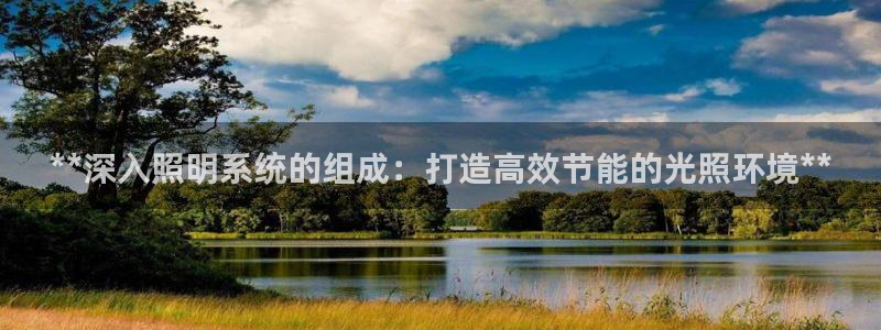 **深入照明系统的组成：打造高效节能的光照环境**