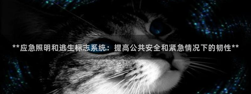 **应急照明和逃生标志系统：提高公共安全和紧急情况下的韧性**