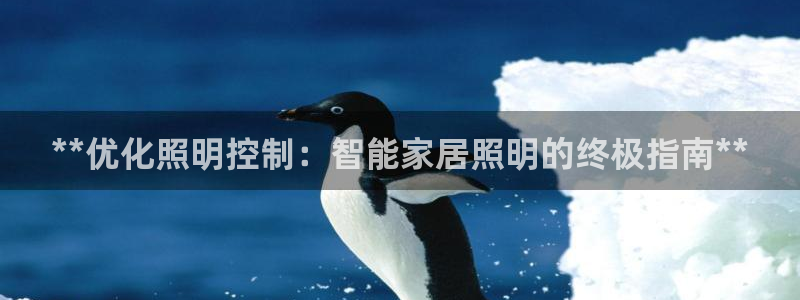 **优化照明控制：智能家居照明的终极指南**