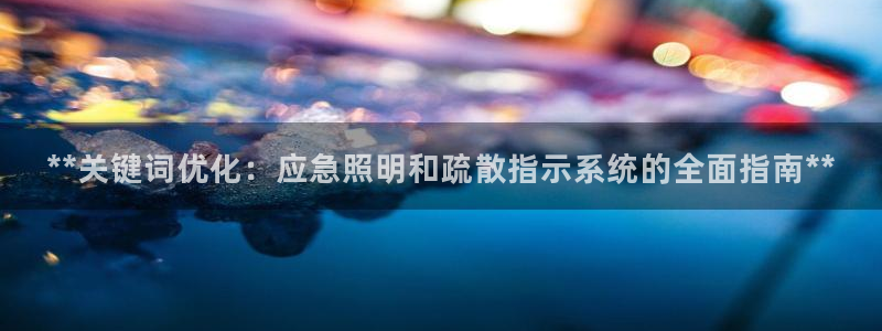 **关键词优化：应急照明和疏散指示系统的全面指南**