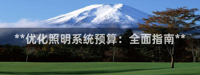 **优化照明系统预算：全面指南**