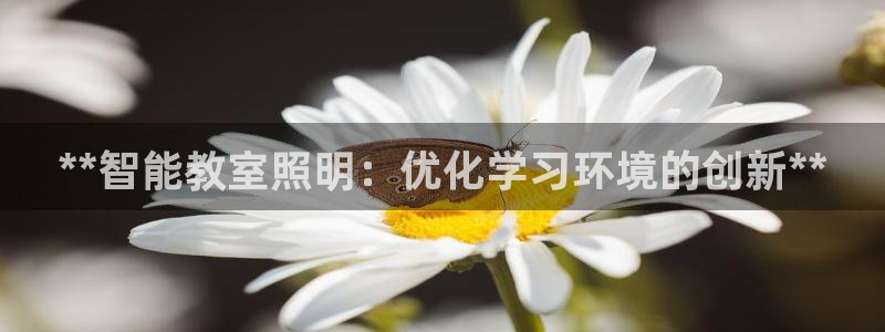 **智能教室照明：优化学习环境的创新**