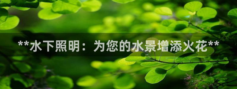 **水下照明：为您的水景增添火花**