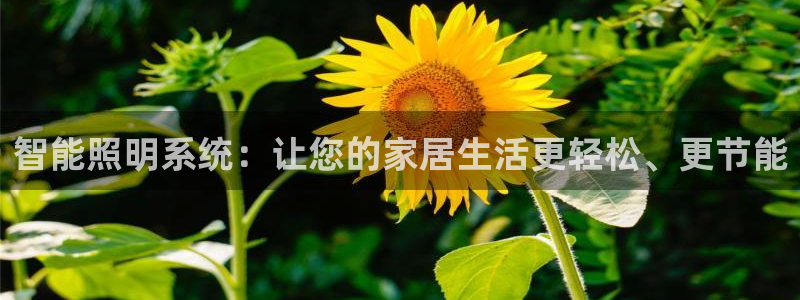 智能照明系统：让您的家居生活更轻松、更节能