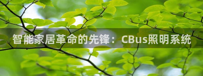 智能家居革命的先锋：CBus照明系统