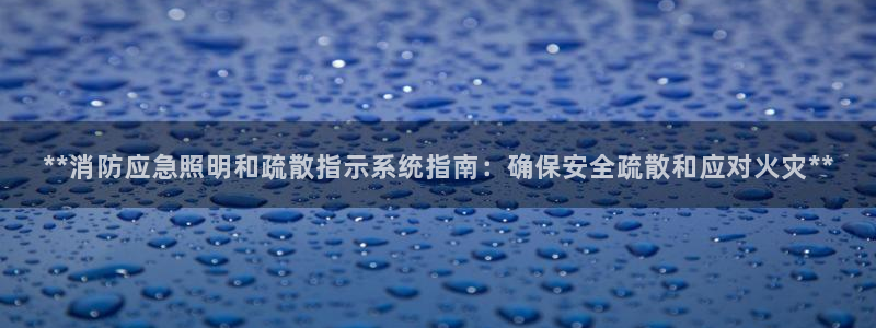 **消防应急照明和疏散指示系统指南：确保安全疏散和应对火灾**