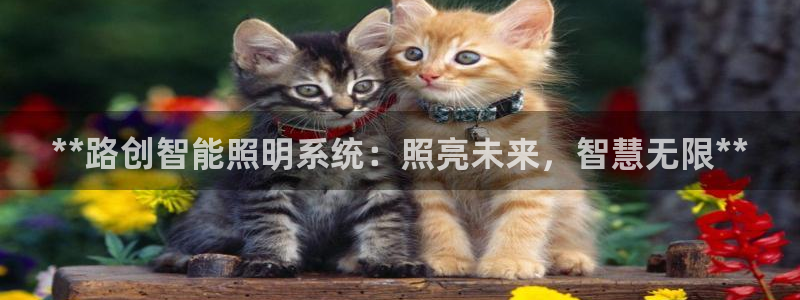 **路创智能照明系统：照亮未来，智慧无限**