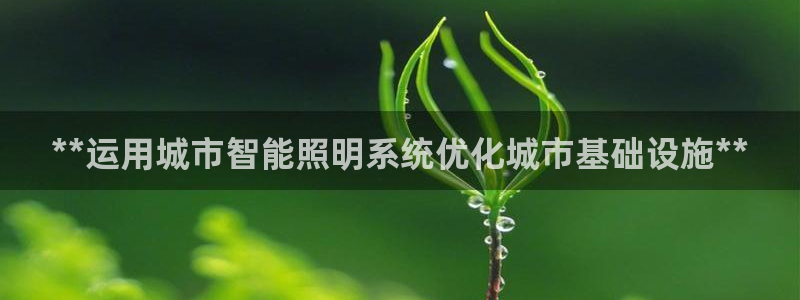 **运用城市智能照明系统优化城市基础设施**