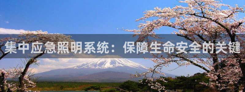 集中应急照明系统：保障生命安全的关键