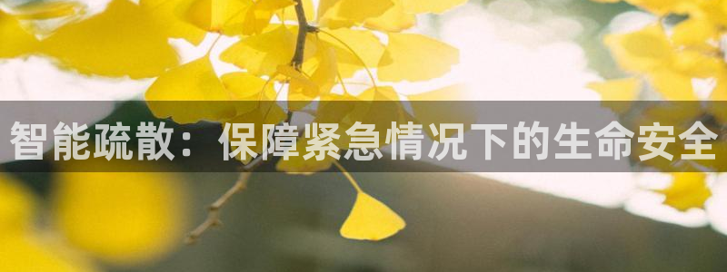 智能疏散：保障紧急情况下的生命安全