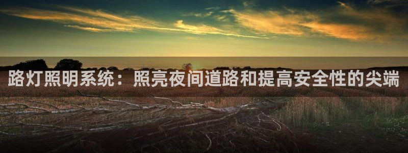 路灯照明系统：照亮夜间道路和提高安全性的尖端