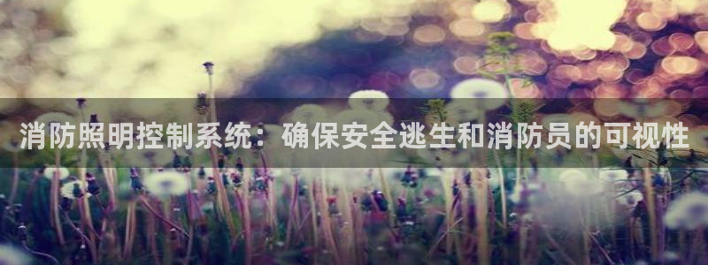 消防照明控制系统：确保安全逃生和消防员的可视性