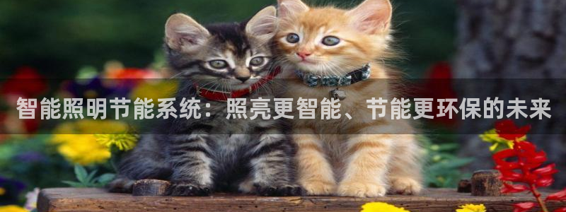 智能照明节能系统：照亮更智能、节能更环保的未来