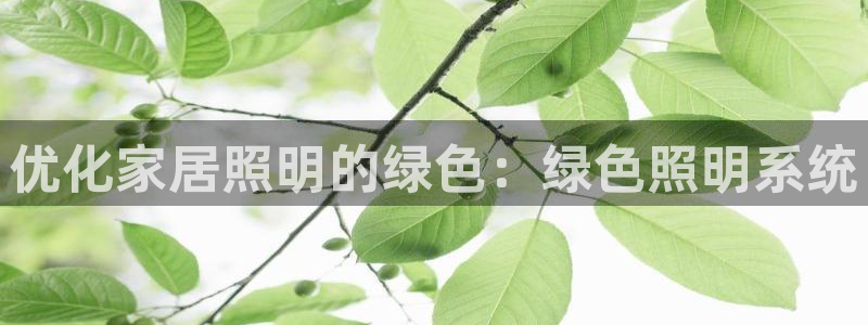 优化家居照明的绿色：绿色照明系统