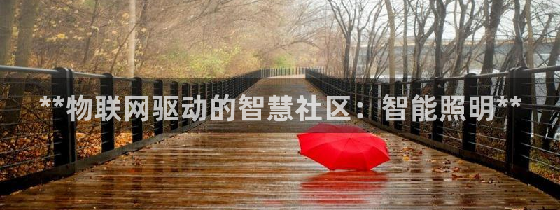 **物联网驱动的智慧社区：智能照明**