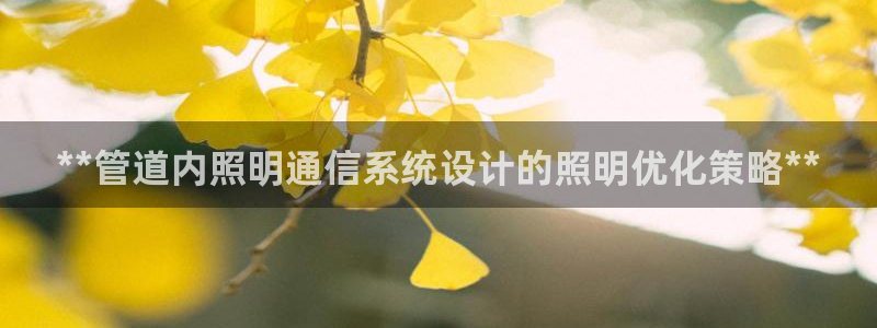 **管道内照明通信系统设计的照明优化策略**