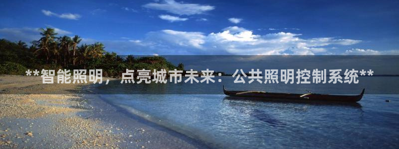 **智能照明，点亮城市未来：公共照明控制系统**