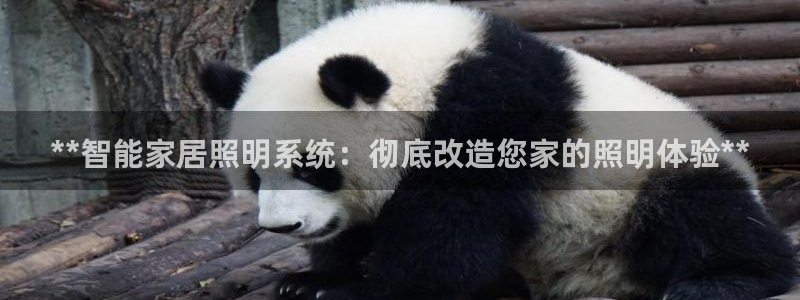 **智能家居照明系统：彻底改造您家的照明体验**