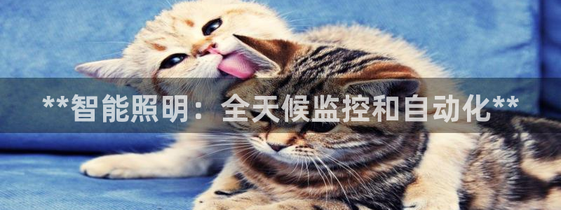 **智能照明：全天候监控和自动化**