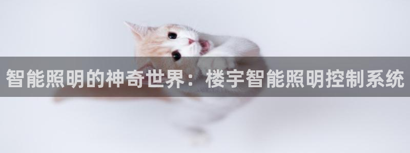 智能照明的神奇世界：楼宇智能照明控制系统