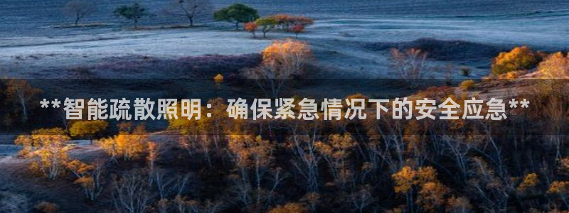 **智能疏散照明：确保紧急情况下的安全应急**