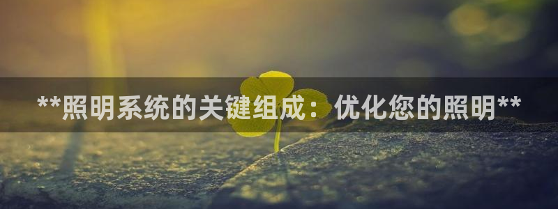 **照明系统的关键组成：优化您的照明**
