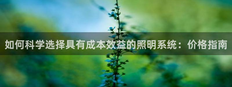 如何科学选择具有成本效益的照明系统：价格指南