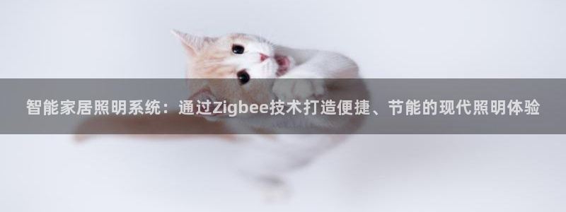 智能家居照明系统：通过Zigbee技术打造便捷、节能的现代照明体验