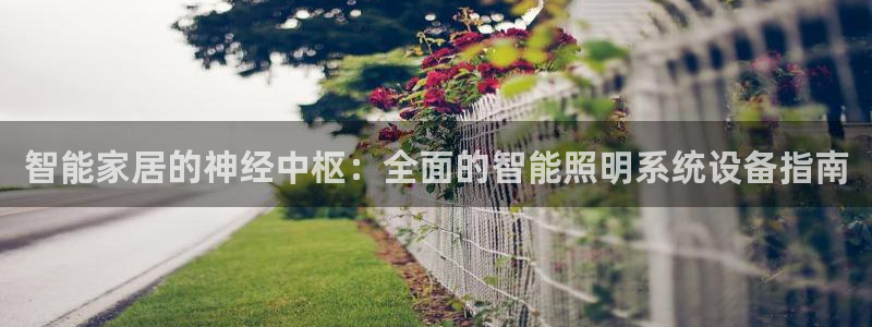 智能家居的神经中枢：全面的智能照明系统设