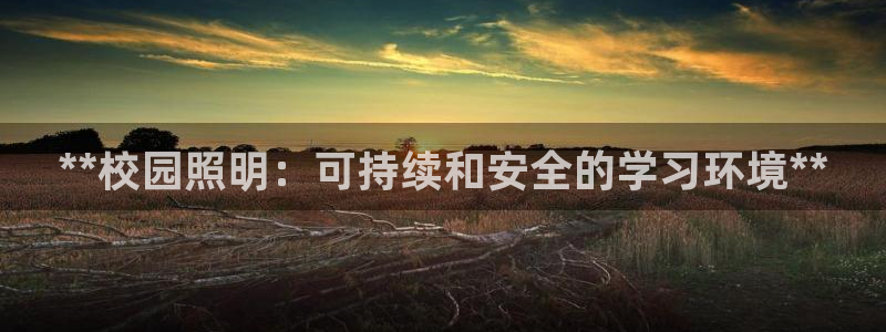 **校园照明：可持续和安全的学习环境**