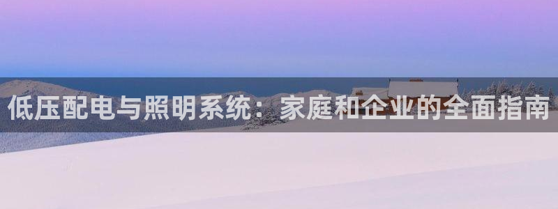 低压配电与照明系统：家庭和企业的全面指南
