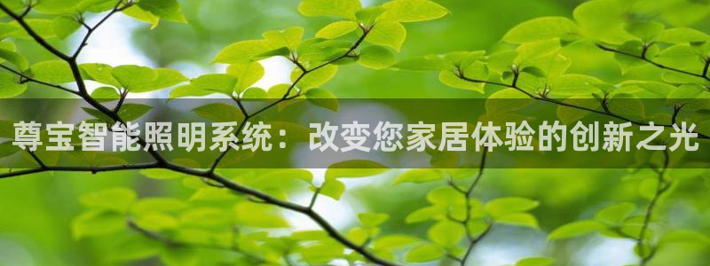 尊宝智能照明系统：改变您家居体验的创新之光