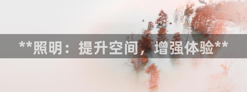 **照明：提升空间，增强体验**