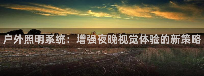 户外照明系统：增强夜晚视觉体验的新策略