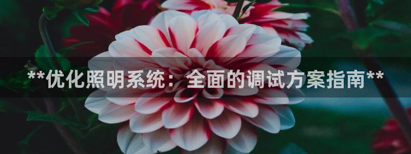 **优化照明系统：全面的调试方案指南**