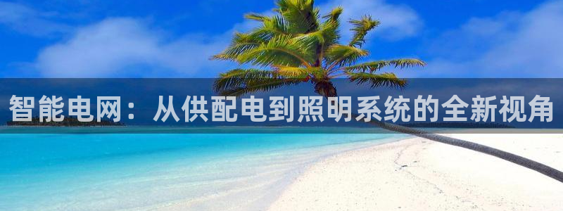 智能电网:从供配电到照明系统的全新视角