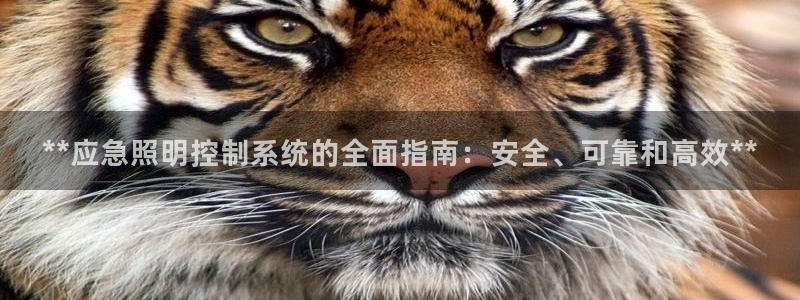 **应急照明控制系统的全面指南：安全、可靠和高效**