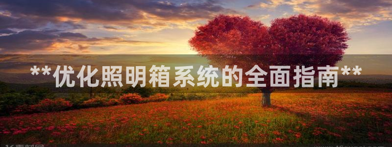**优化照明箱系统的全面指南**