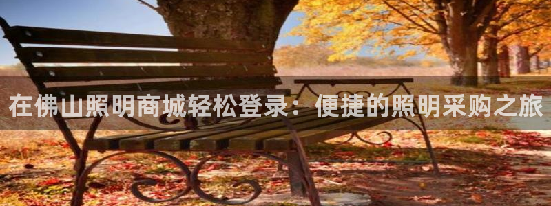 在佛山照明商城轻松登录：便捷的照明采购之旅