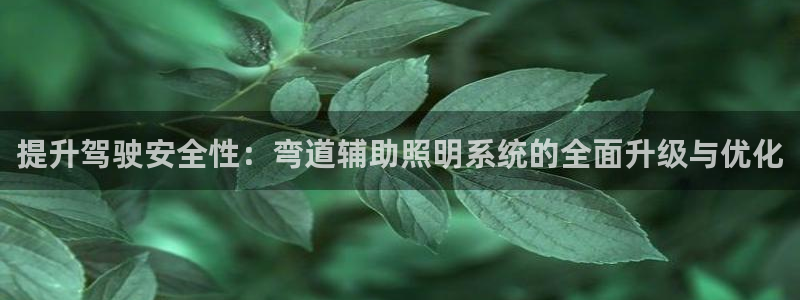 提升驾驶安全性:弯道辅助照明系统的全面升级与优化