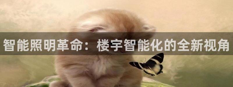 智能照明革命：楼宇智能化的全新视角