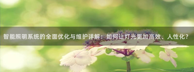 智能照明系统的全面优化与维护详解:如何让灯光更加高效、人性化?