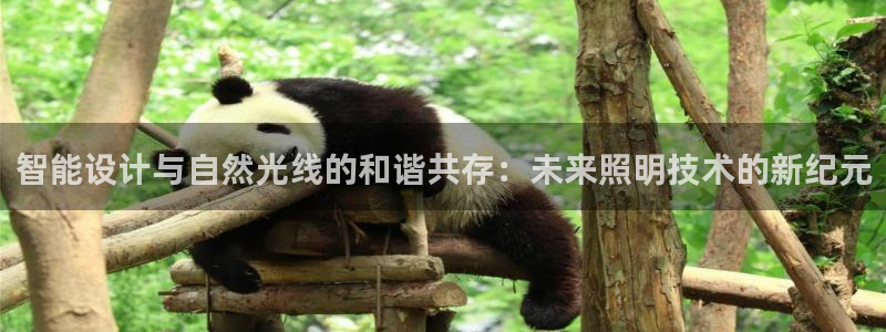 智能设计与自然光线的和谐共存：未来照明技术的新纪元